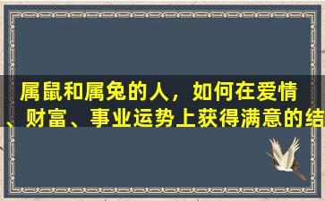 属鼠和属兔的人，如何在爱情  、财富、事业运势上获得满意的结果